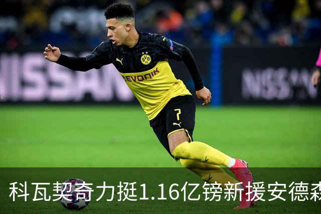 科瓦契奇力挺1.16亿镑新援安德森：有身体有技术，这是笔伟大的签约