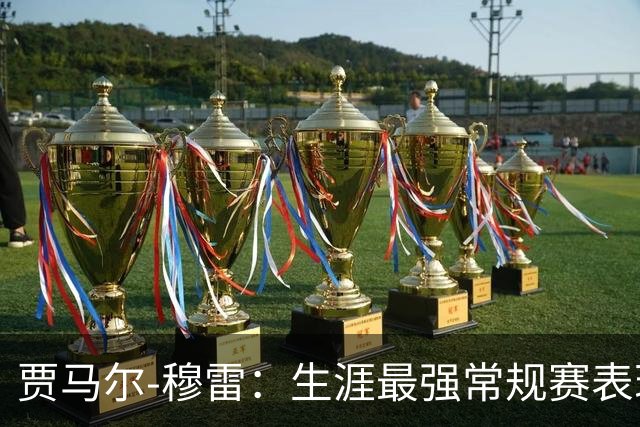 贾马尔-穆雷：生涯最强常规赛表现（球员赛季分析）常规赛篇