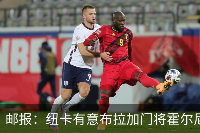 邮报：纽卡有意布拉加门将霍尔尼切克，球员此前曾拒绝赫尔城